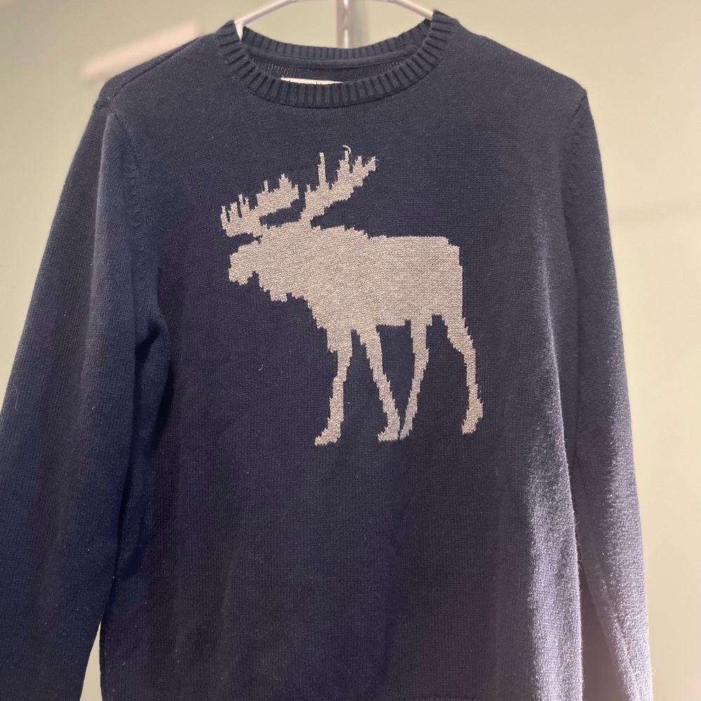Abercrombie and Fitch kids size 15/16 moose sweater